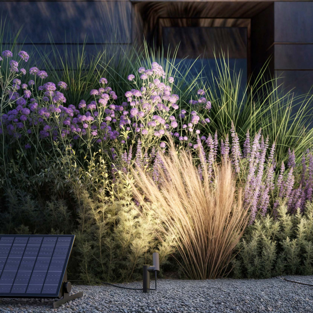 Garden with illuminated plants and a solar panel at night