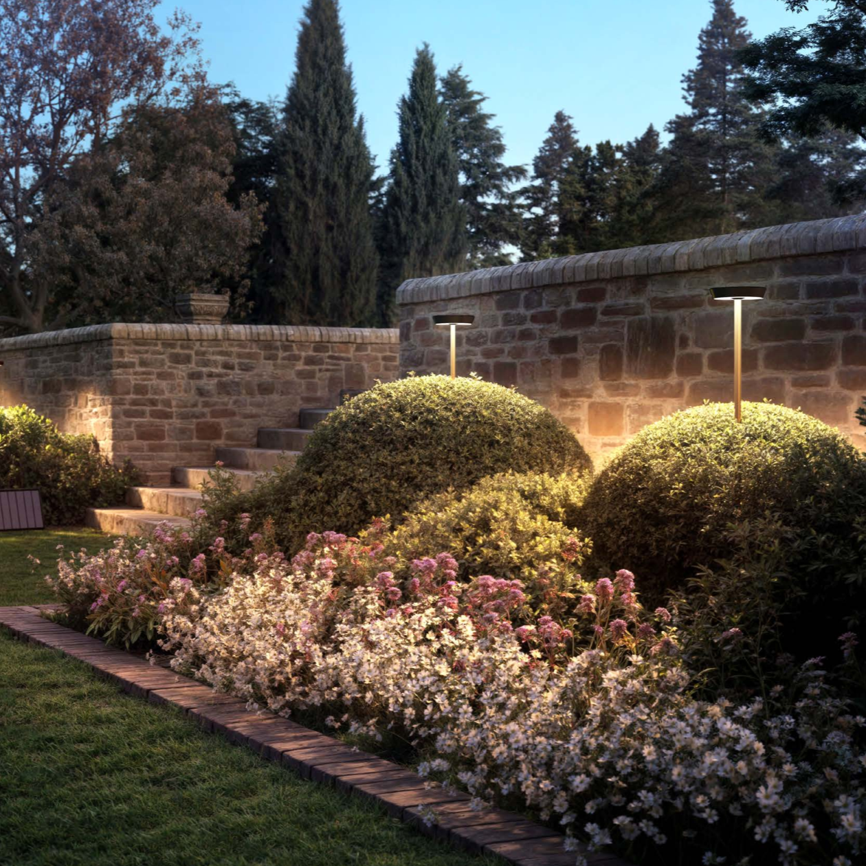 Garden with stone wall and illuminated plants at night